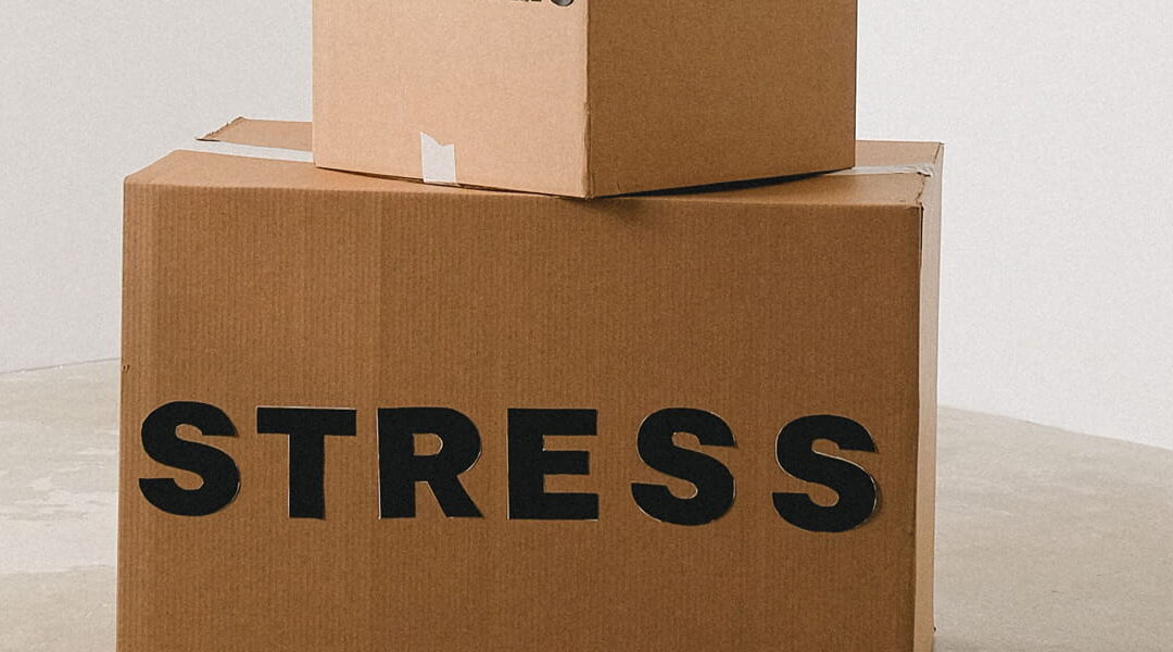 Soforthilfe bei Stress in Wiesbaden: Coaching für mentale Blockaden und innere Stabilität