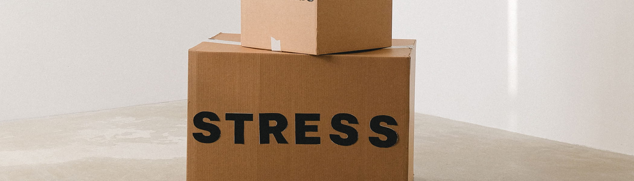 Soforthilfe bei Stress im Coaching in Wiesbaden Zwei Kartons mit der Aufschrift Stress als Symbol für mentale Belastung, innere Unruhe und Soforthilfe im Coaching in Wiesbaden